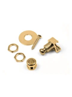 Paxphil PSL700G Strap Security Locks (Gold)