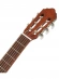 Классическая гитара Cort AC100 (Semi Gloss) Классическая гитара Cort AC100 (Semi Gloss)