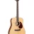 Cort Earth 100 (Natural Satin)