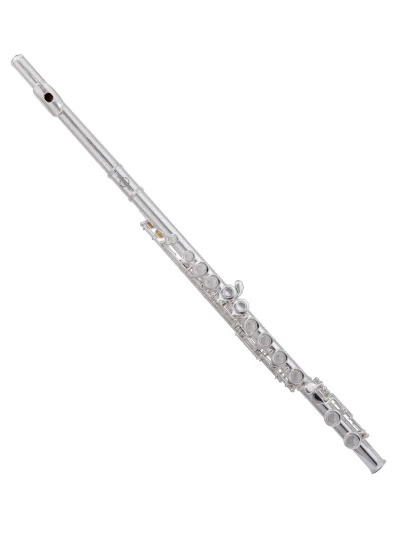 Флейта Maxtone TFC53N/1