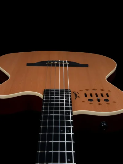 Класична гітара зі звукознімачем Godin ACS Slim Nylon Natural SG