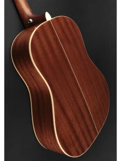 Cort Earth 100 SSF (Sunburst)
