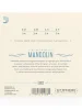 Струни для мандоліни D'Addario EJ62 Mandolin 80/20 Bronze Light (10-34)