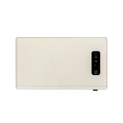 Комбопідсилювач Mooer Hornet 30i (White)
