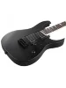 Електрогітара Ibanez GRG121DX BKF