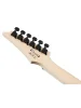 Електрогітара Ibanez GRG121DX BKF