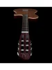 Класична гітара зі звукознімачем Godin Multiac Grand Concert Encore Natural SG