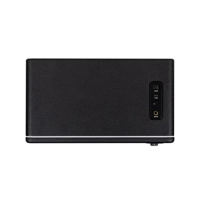 Комбопідсилювач Mooer Hornet 30i (Black)