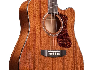Guild D-120CE (Natural)
