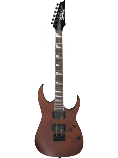 Електрогітара Ibanez GRG121DX WNF