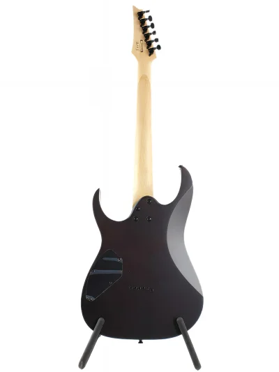 Електрогітара Ibanez GRG121DX WNF