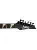 Електрогітара Ibanez GRG121DX WNF