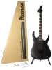 Електрогітара Ibanez GRG121DX WNF