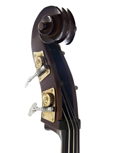 Віолончель Stentor 1951/C Student Double Bass 3/4