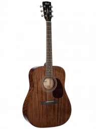 Cort Earth 60M (Open Pore)