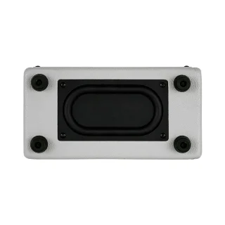 Mooer SD10i (Gray)