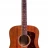 Guild D-20 (Natural)
