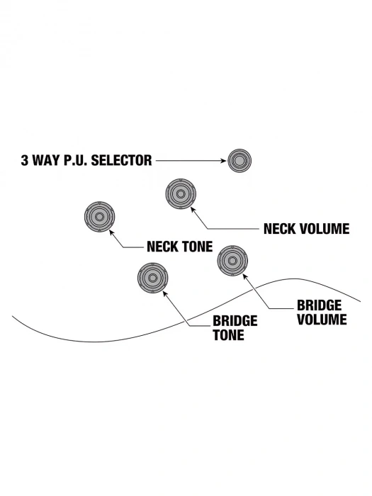 Напівакустична гітара Напівакустична гітара Ibanez AG75G-BS