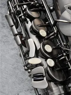 J.Michael AL-980GML (S) Alto Saxophone