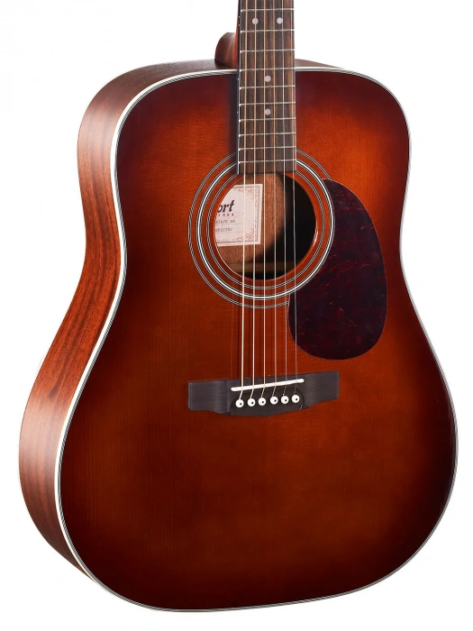 Cort Earth 70 (Brown)