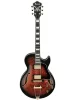 Напівакустична гітара Ibanez AG95QA-DBS