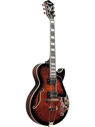 Напівакустична гітара Ibanez AG95QA-DBS