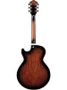 Напівакустична гітара Ibanez AG95QA-DBS