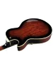 Напівакустична гітара Ibanez AG95QA-DBS