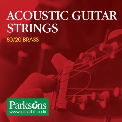 Струни Parksons S1252 Acoustic L 12-52