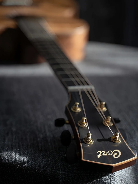 Електро-акустична гітара Електро-акустична гітара Cort Flow-OC (Natural Satin)