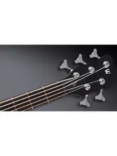 Warwick Teambuilt Pro Series Corvette Ash 5-String A/A (Nirvana Black Transparent Satin)