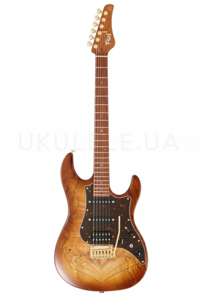 Электрогитара FGN EOS2-EW1-RM Odyssey Expert Series (Hojicha Burst)
