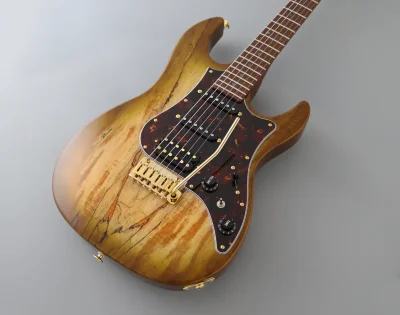 Електрогітара FGN EOS2-EW1-RM Odyssey Expert Series (Hojicha Burst)