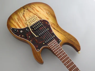 Електрогітара FGN EOS2-EW1-RM Odyssey Expert Series (Hojicha Burst)