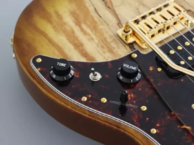 Електрогітара FGN EOS2-EW1-RM Odyssey Expert Series (Hojicha Burst)