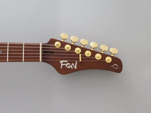 Електрогітара Електрогітара FGN EOS2-EW1-RM Odyssey Expert Series (Hojicha Burst)