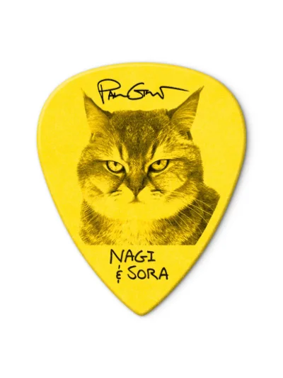 Набір медіаторів Dunlop PG462P.73 Paul Gilbert Custom Tortex TIII Pick .73mm