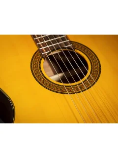 Takamine GC5 NAT