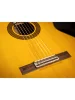Класична гітара Takamine GC5 NAT