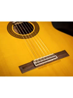 Takamine GC5 NAT