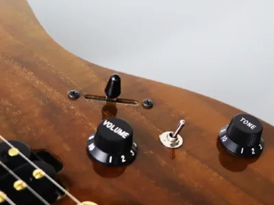 Електрогітара FGN EOS2-DU-EW2-RM Odyssey Expert Series (Vintage Natural)