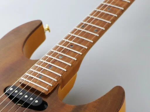 Електрогітара Електрогітара FGN EOS2-DU-EW2-RM Odyssey Expert Series (Vintage Natural)