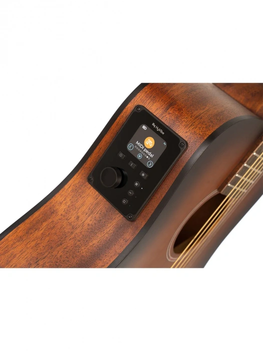 Cort Earth GO (Open Pore Brown Burst)