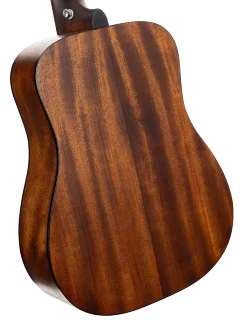 Cort Earth GO (Open Pore Brown Burst)