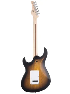 Cort G110 (Open Pore Sunburst)