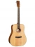 Акустична гітара Cort Earth 60 (Natural Gloss)