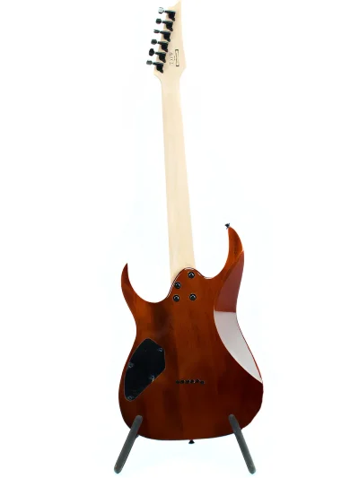 Електрогітара Ibanez GRGR221PA-AQB