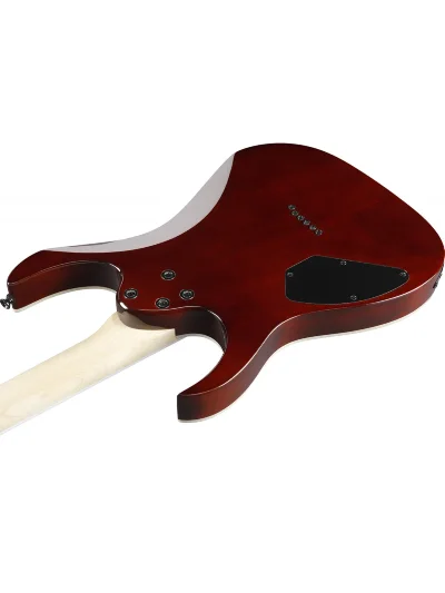 Електрогітара Ibanez GRGR221PA-AQB