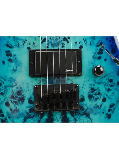 Електрогітара Ibanez GRGR221PA-AQB