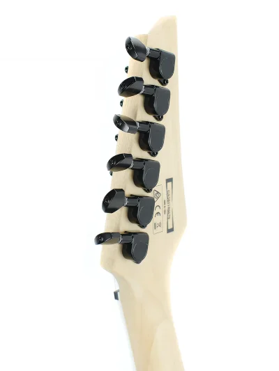 Електрогітара Ibanez GRGR221PA-AQB